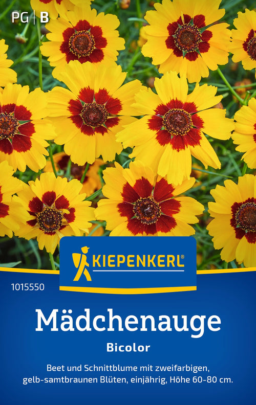 Kiepenkerl Mädchenaugen Bicolor