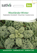 Sativa Federkohl / Grünkohl Westländer Winter