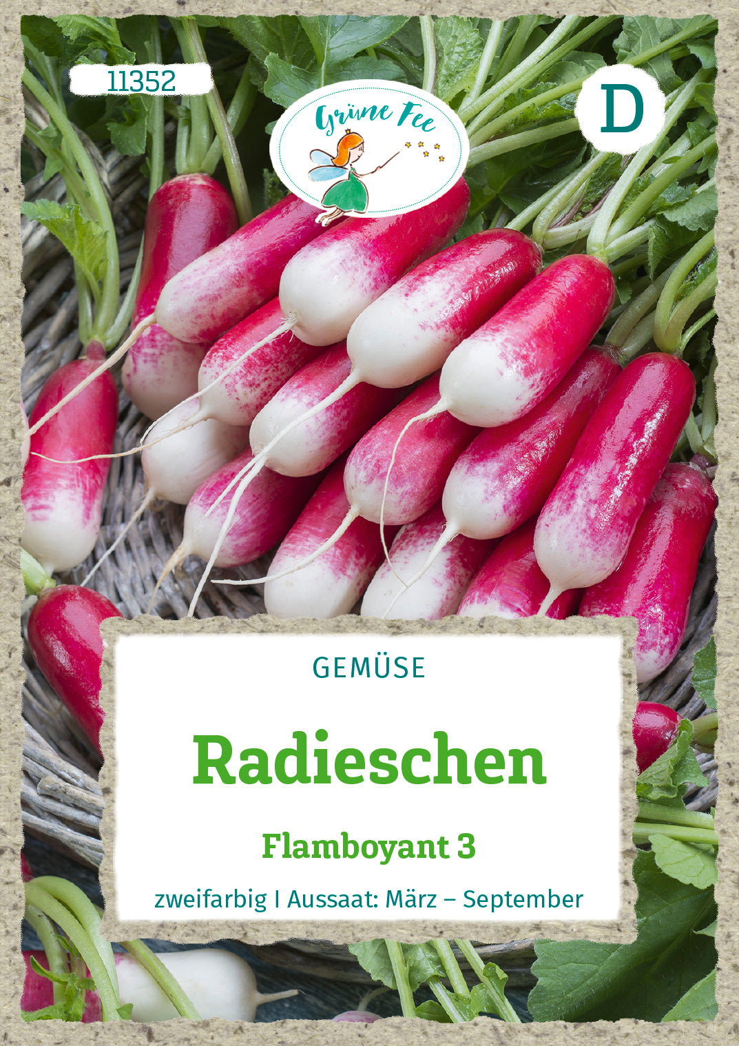 Grüne Fee Radieschen Flamboyant 3