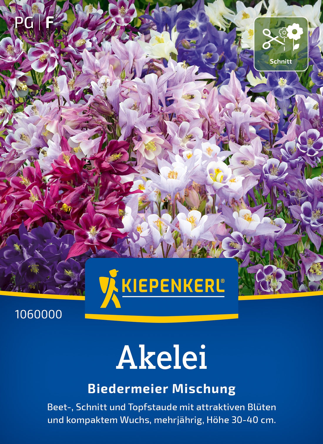 Kiepenkerl Akelei Biedermeier Mischung