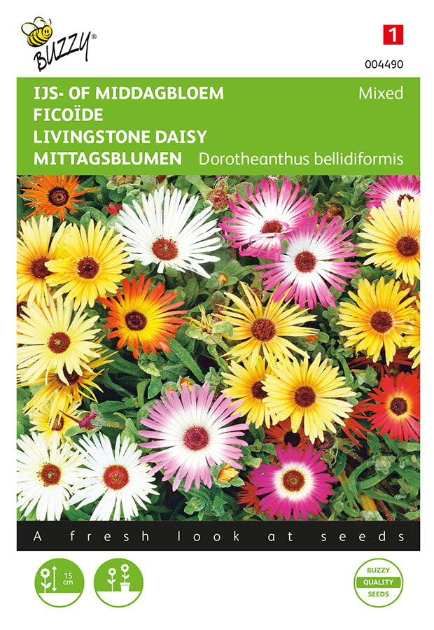 Buzzy Seeds Mittagsblumen Mischung