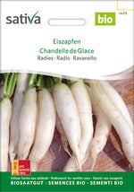 Sativa Radies Eiszapfen