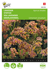 Buzzy Seeds Strandflieder Meerlavendel Apricot shades