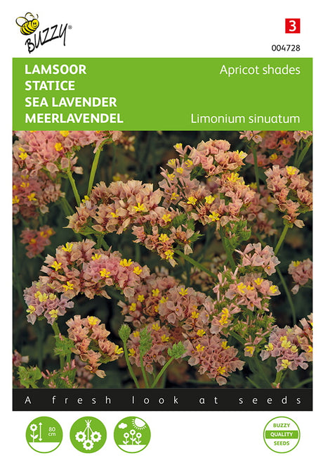 Buzzy Seeds Strandflieder Meerlavendel Apricot shades