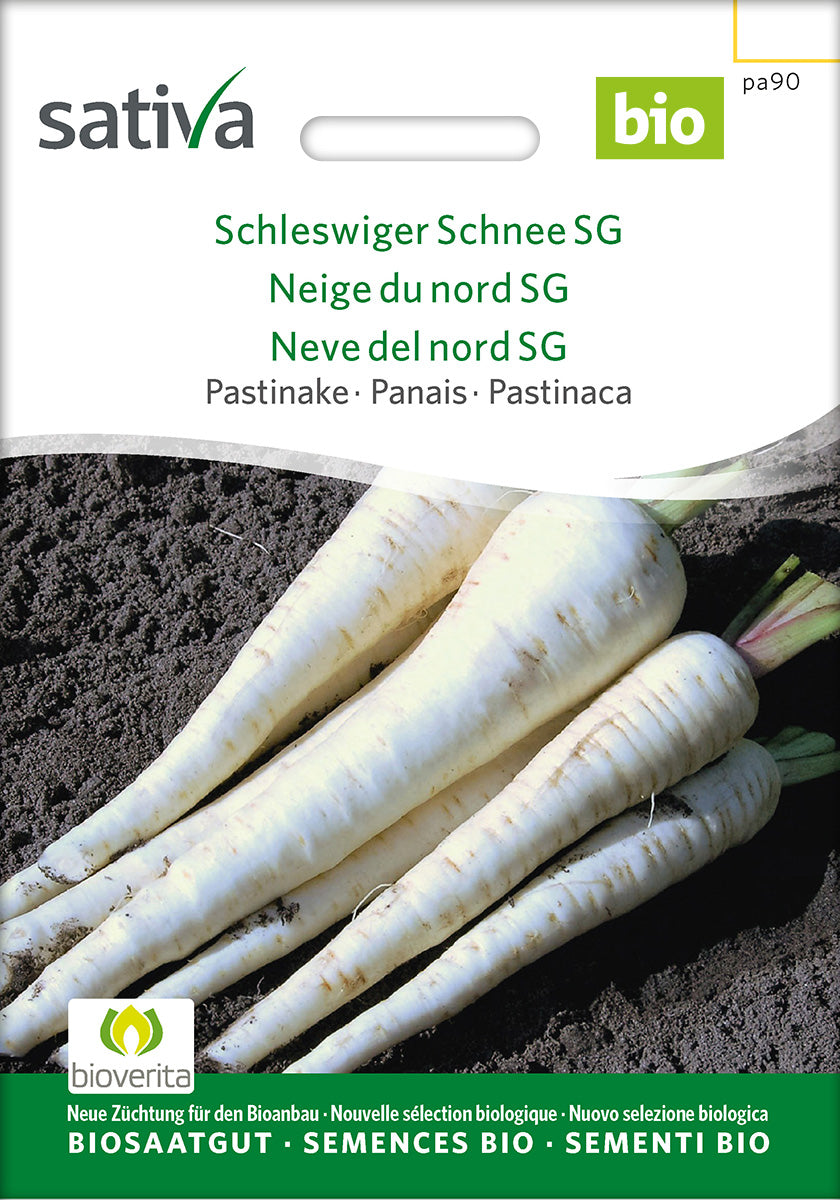 Sativa Pastinake Schleswiger Schnee SG