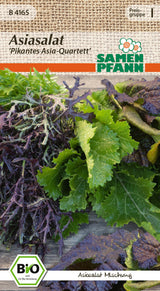 Samen Pfann BIO Asiasalat Pikantes Asia-Quartett