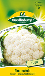Quedlinburger Blumenkohl Erfurt 