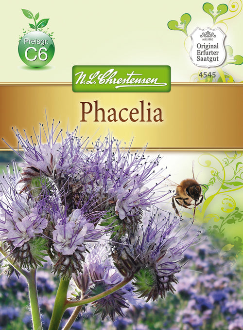 N.L. Chrestensen Phacelia einjährig
