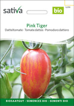 Sativa Datteltomate Pink Tiger