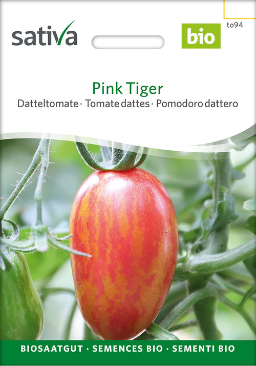 Sativa Datteltomate Pink Tiger