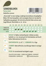 Frankonia Samen Sonnenblumen Pacino Gold