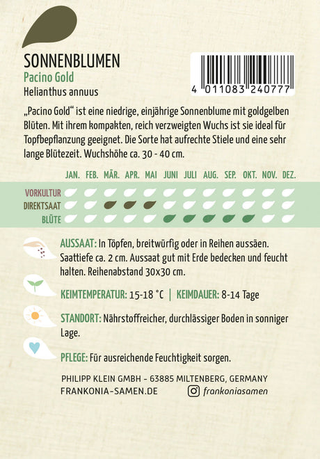 Frankonia Samen Sonnenblumen Pacino Gold