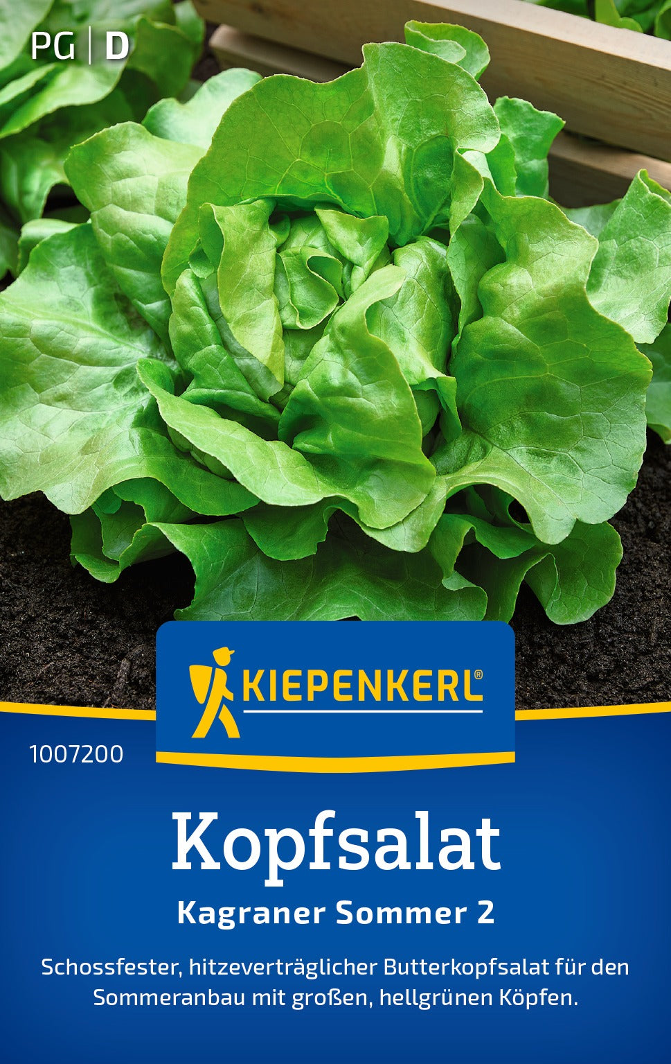 Kiepenkerl Kopfsalat Kagraner Sommer 2