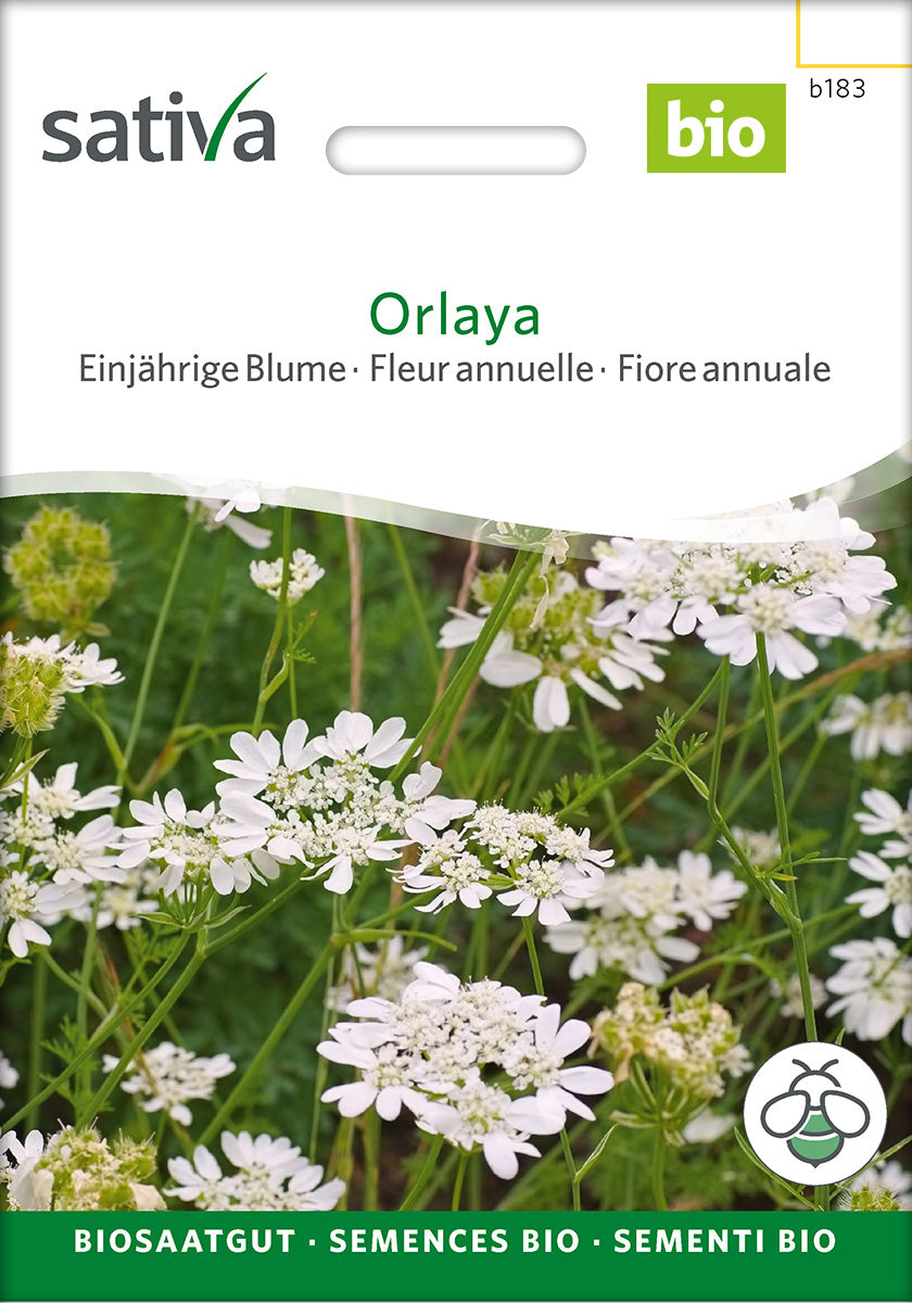Sativa Orlaya