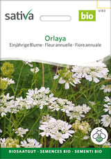 Sativa Orlaya