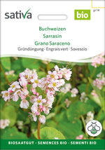 Sativa BIO Gründüngung Buchweizen