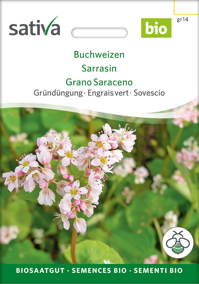 Sativa BIO Gründüngung Buchweizen