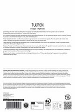Triumph-Tulpe Match