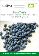 Sativa Buschbohne zum Auskernen Black Turtle