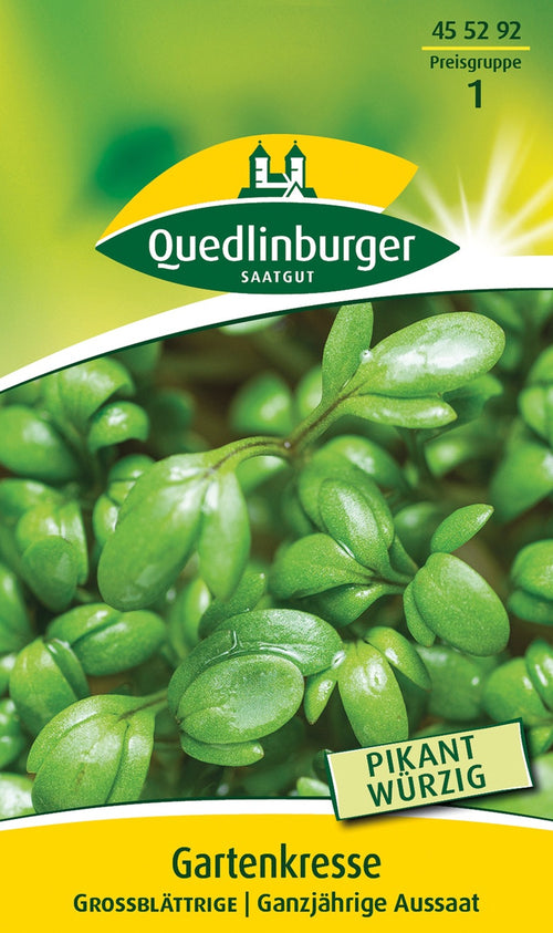 Quedlinburger Gartenkresse großblättrige