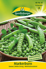 Quedlinburger Markerbse Undine