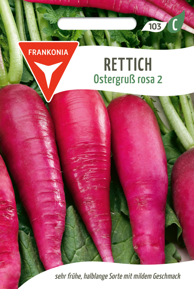 Frankonia Samen Rettich Ostergruß rosa 2