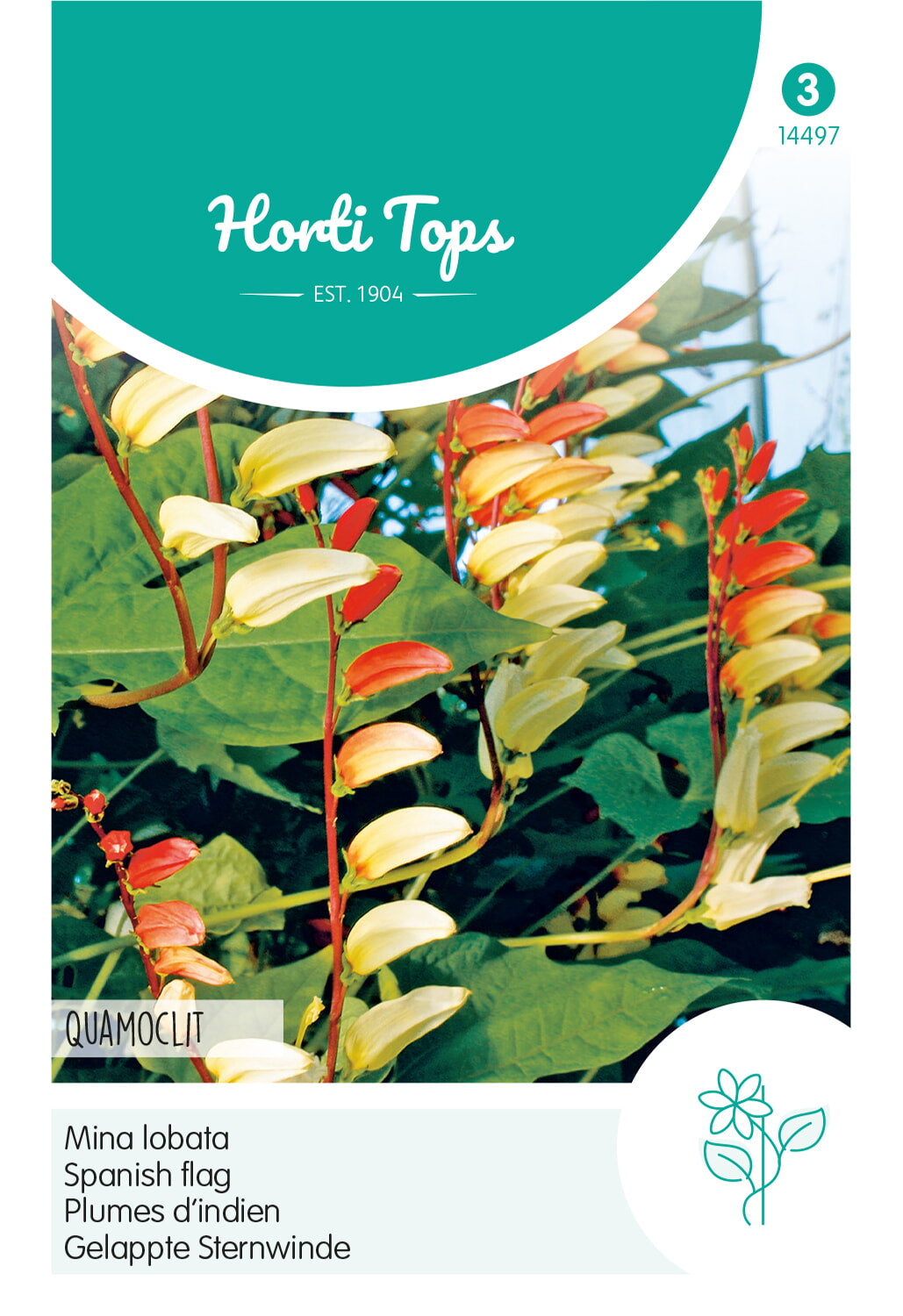 Horti Tops Feuerbohne Lobata