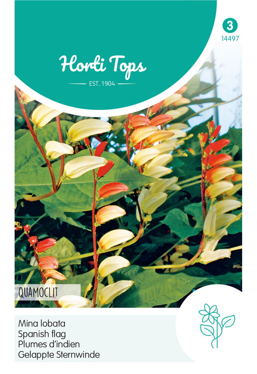 Horti Tops Feuerbohne Lobata