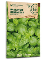 Samen Maier BIO Basilikum Genoveser