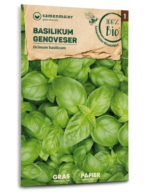 Samen Maier BIO Basilikum Genoveser