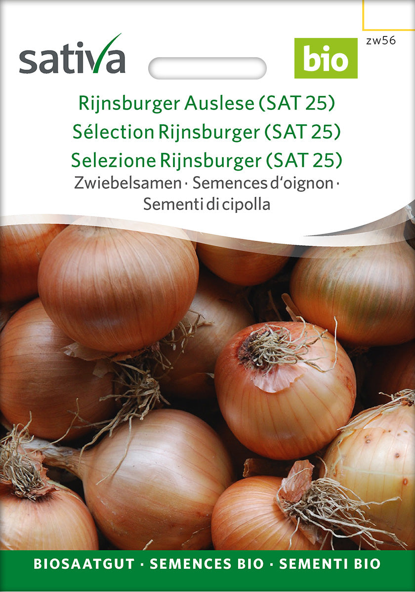 Sativa Zwiebelsamen Rijnsburger Auslese (SAT 25)