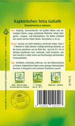 Quedlinburger Kapkörbchen  Tetra Goliath