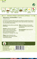 N.L. Chrestensen Männertreu Leuchtendblau