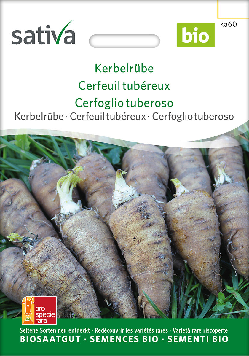Sativa Kerbelrübe Kerbelrübe