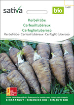 Sativa Kerbelrübe Kerbelrübe