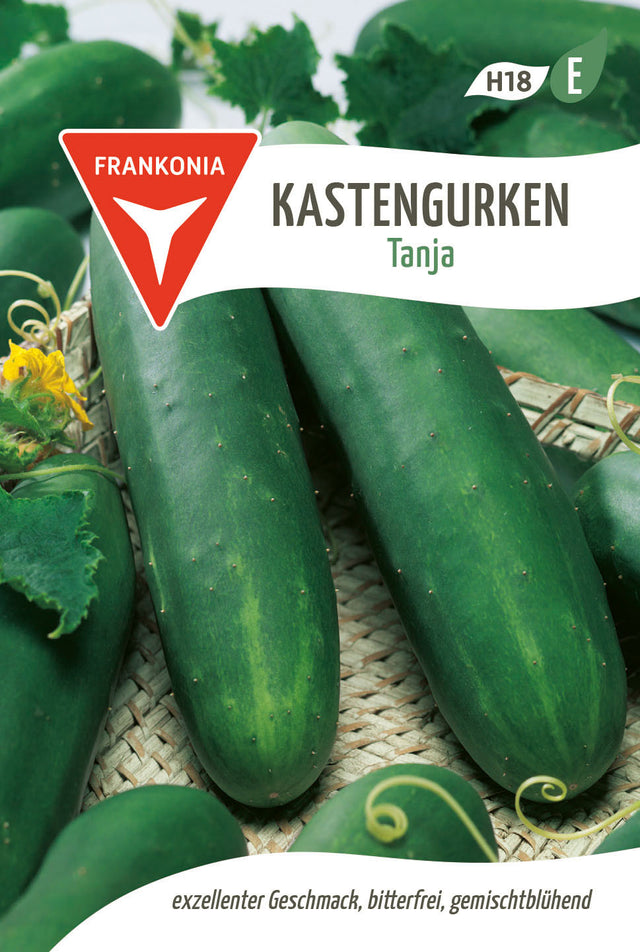 Frankonia Samen Gurke Tanja