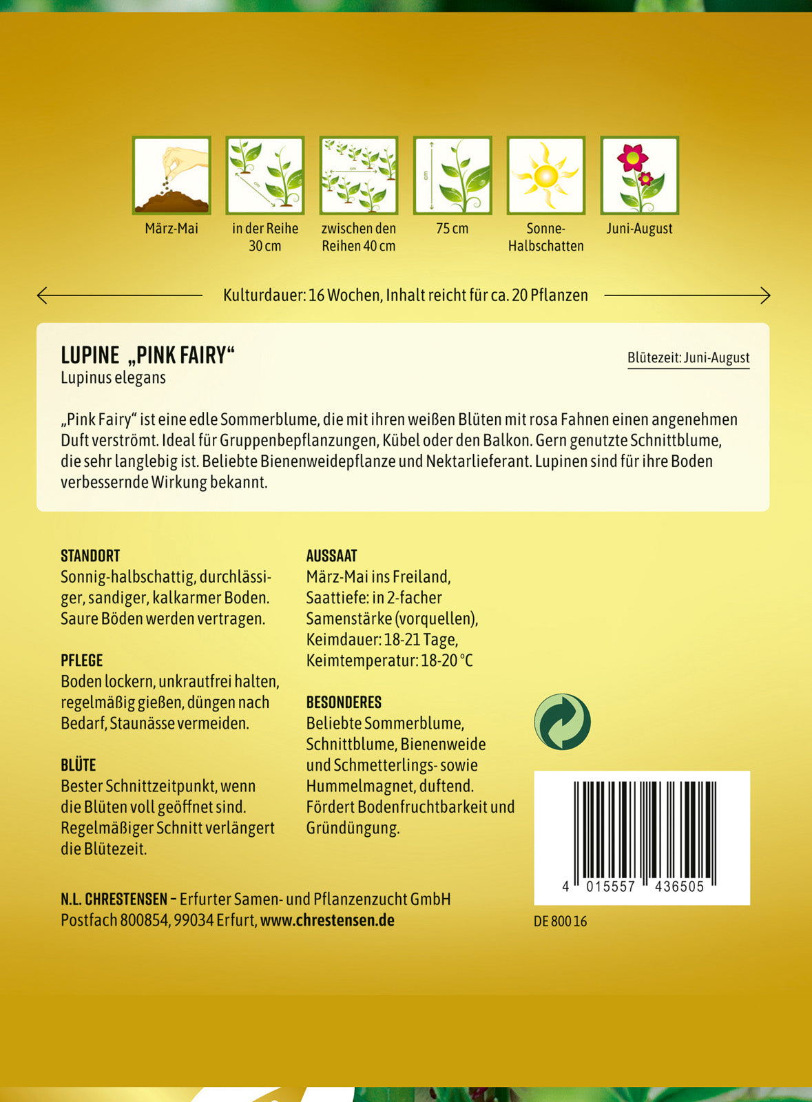 N.L. Chrestensen Lupine Pink Fairy