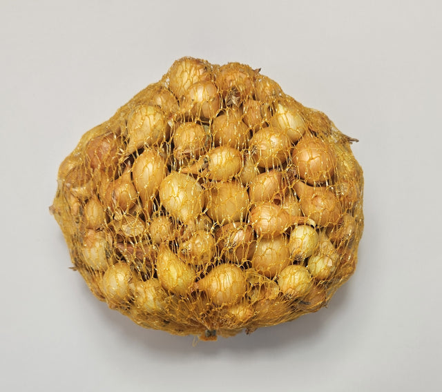 Samen Pfann Steckzwiebeln Stuttgarter Riesen 14/21 500g
