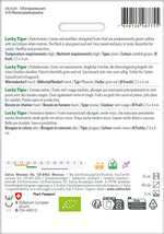 Sativa Datteltomate Lucky Tiger