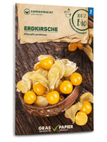 Samen Maier BIO Physalis Erdkirsche