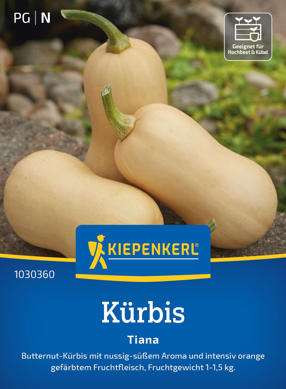 Kiepenkerl Kürbis Tiana