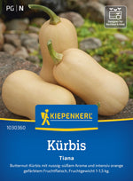 Kiepenkerl Kürbis Tiana