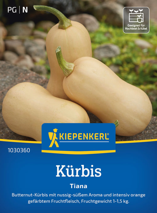 Kiepenkerl Kürbis Tiana