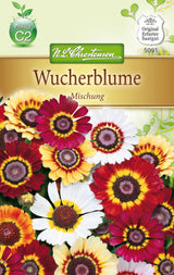 N.L. Chrestensen Chrysanthemum carinatum Mischung