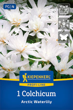 Profi-Line Herbstzeitlose Arctic Waterlily
