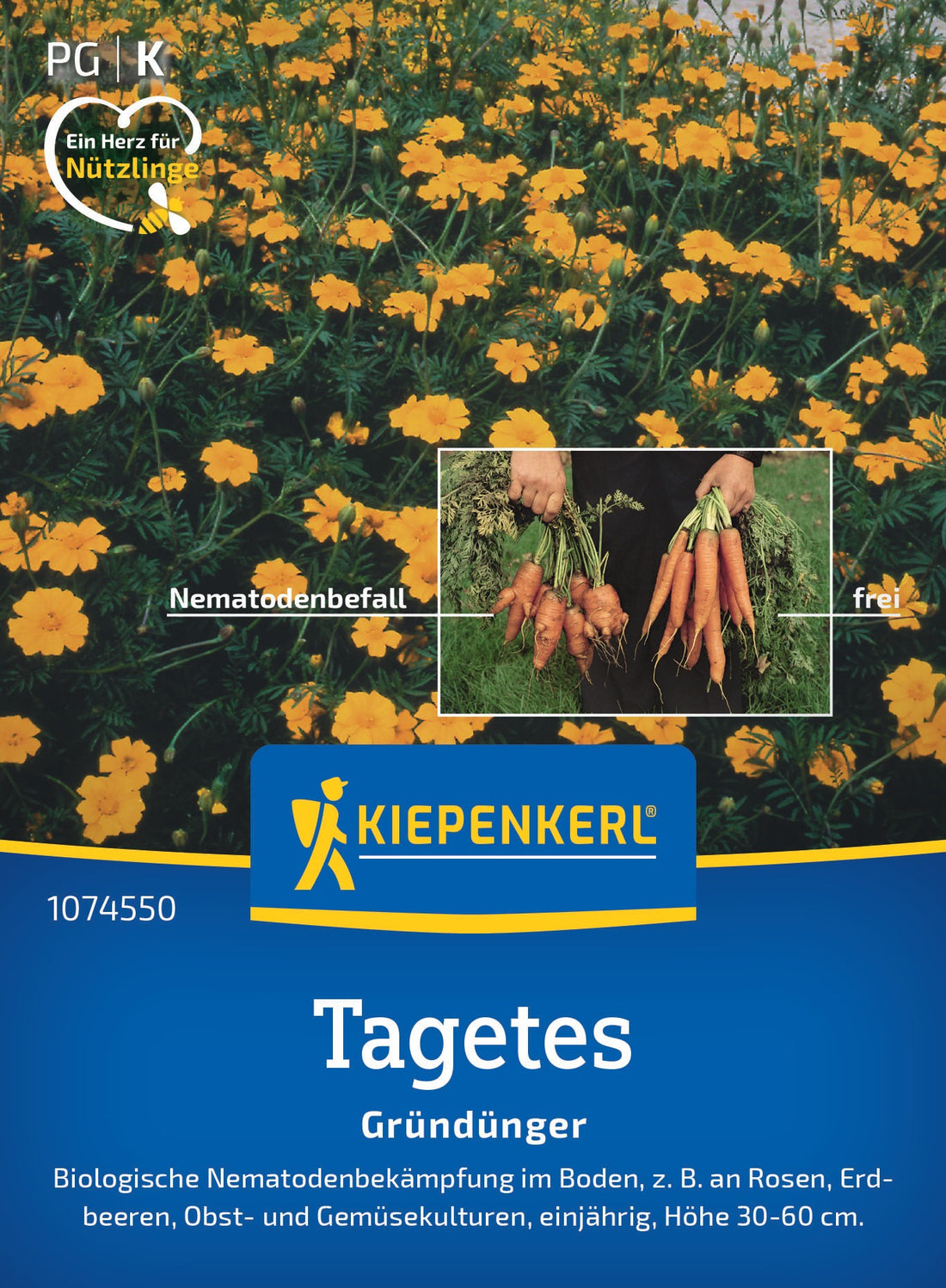 Kiepenkerl Gründünger Nematodenkiller, Tagetes Single Gold Loses Saatgut