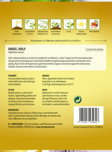 N.L. Chrestensen Radies Viola