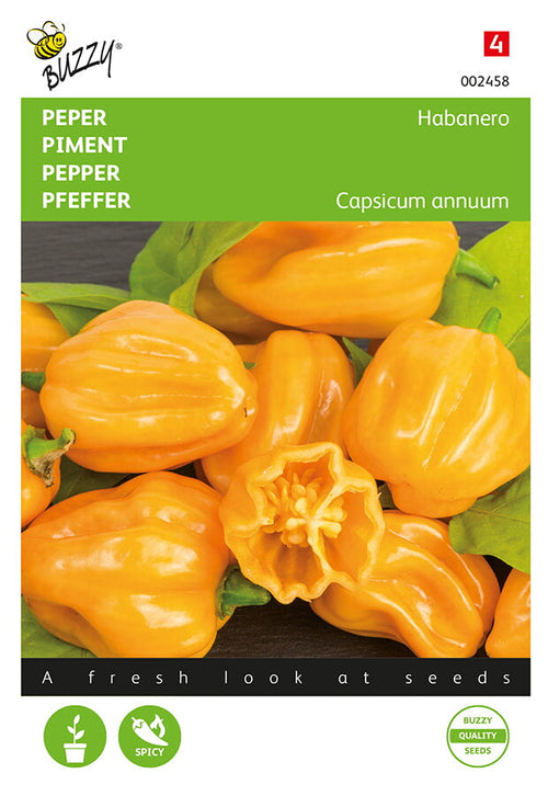 Buzzy Seeds Chili Habanero Orange