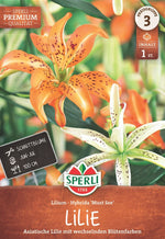 SPERLI Lilie Must See