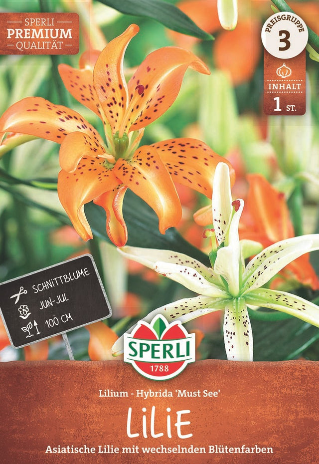 SPERLI Lilie Must See
